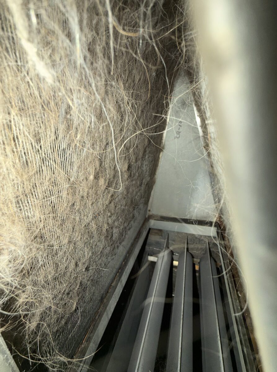 Upper evaporator coil covered in pet hair and dust.