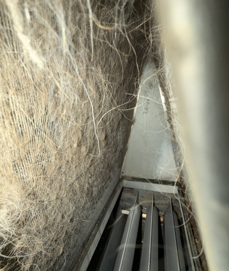 Dust and hair stuck to the inside of a heating system coil.